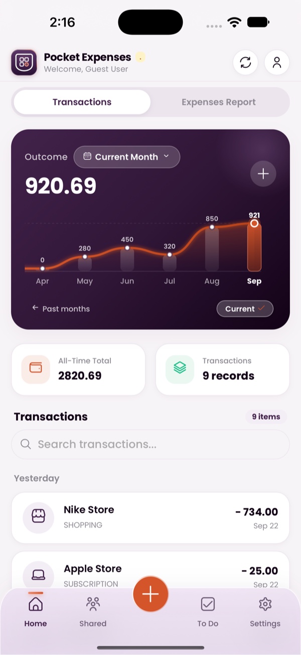 Pocket Expenses iPhone Dashboard showing the monthly spending curve and recent transactions